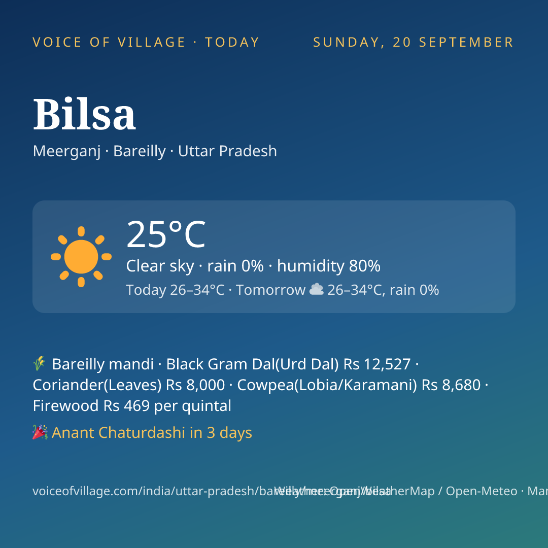 Bilsa today