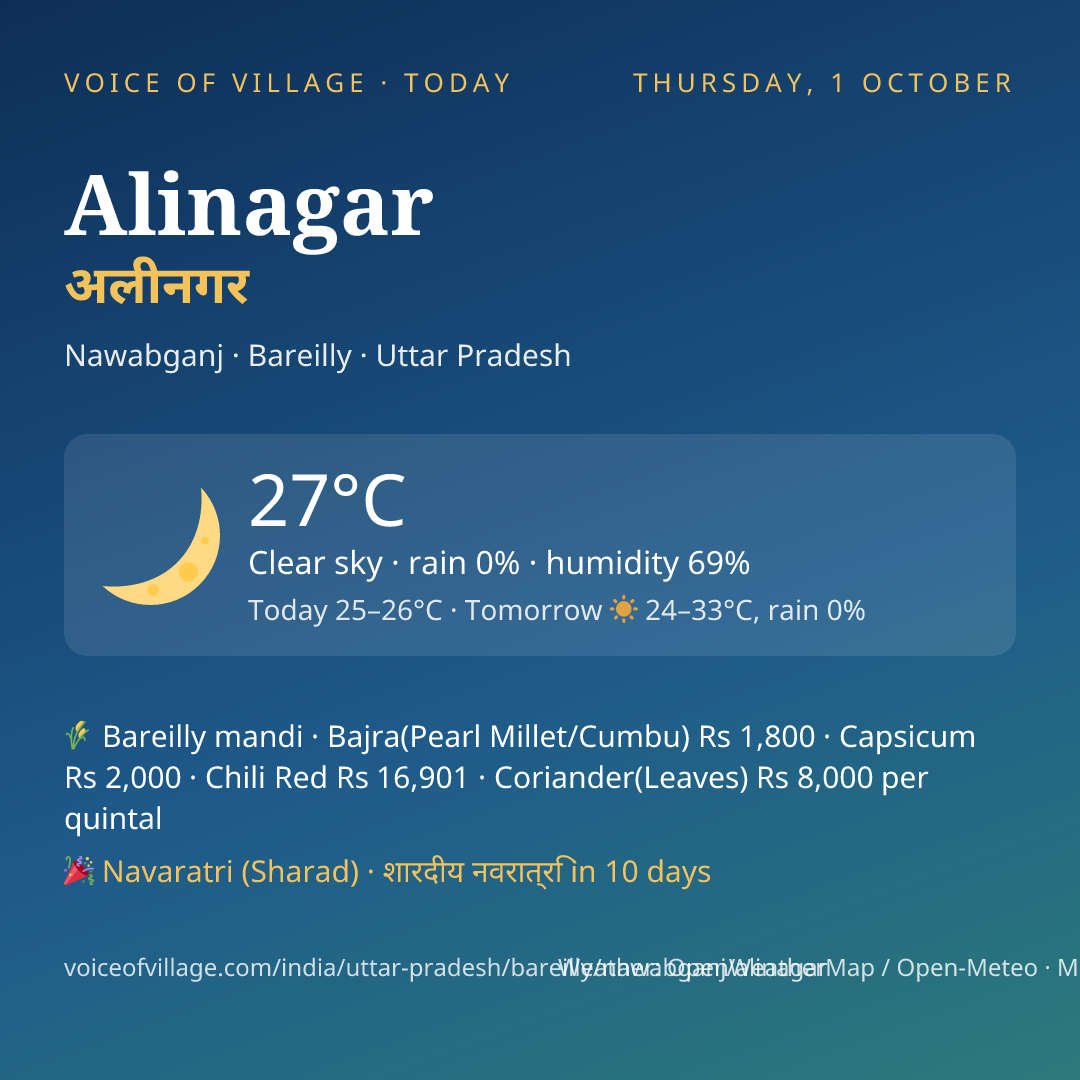 Alinagar today