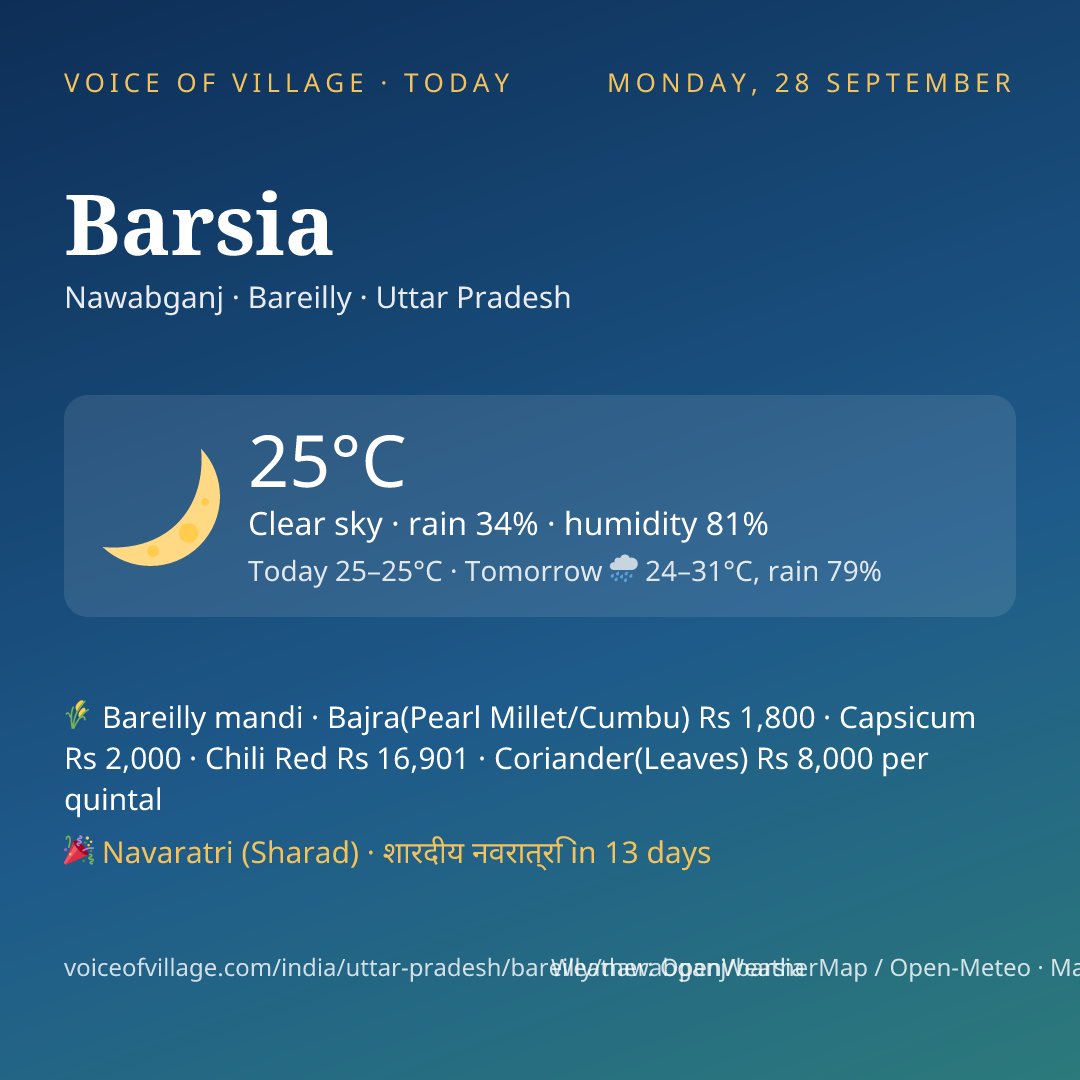Barsia today