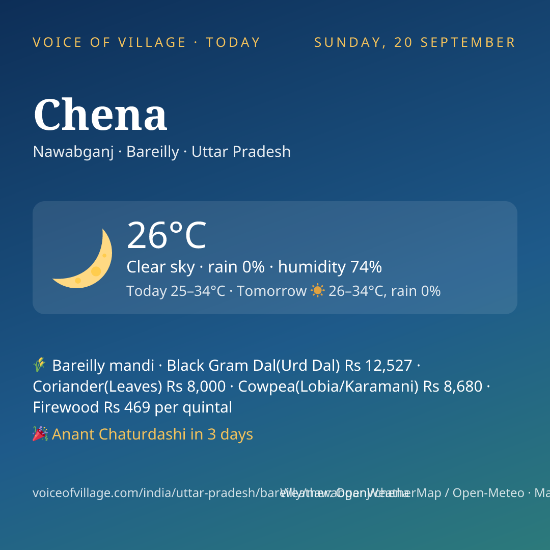 Chena today