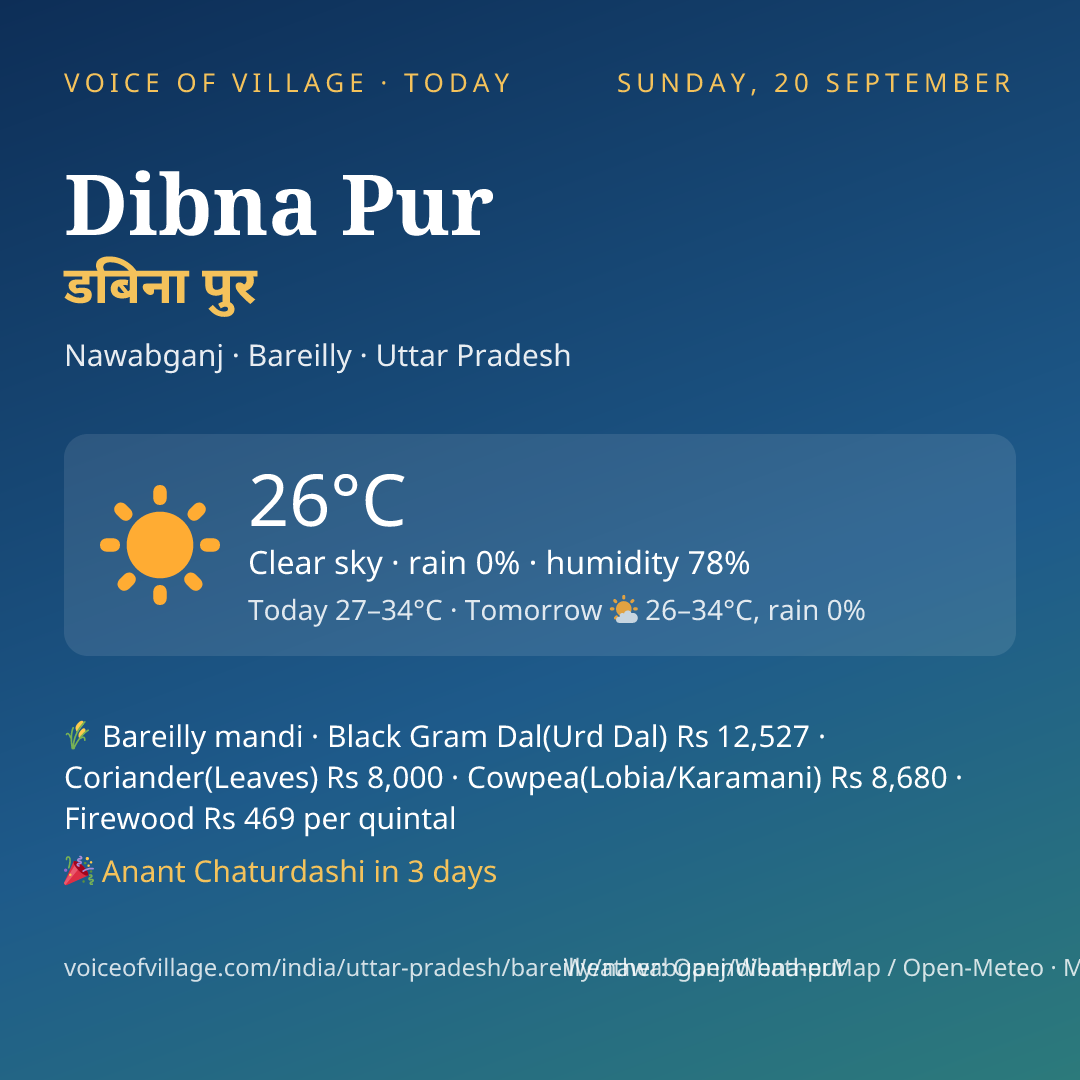 Dibna Pur today