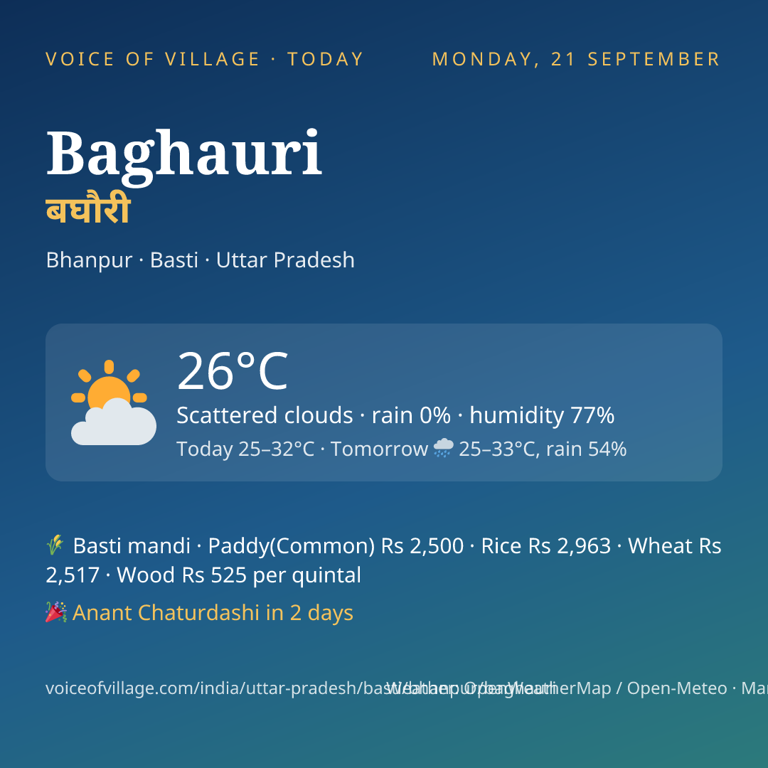 Baghauri today