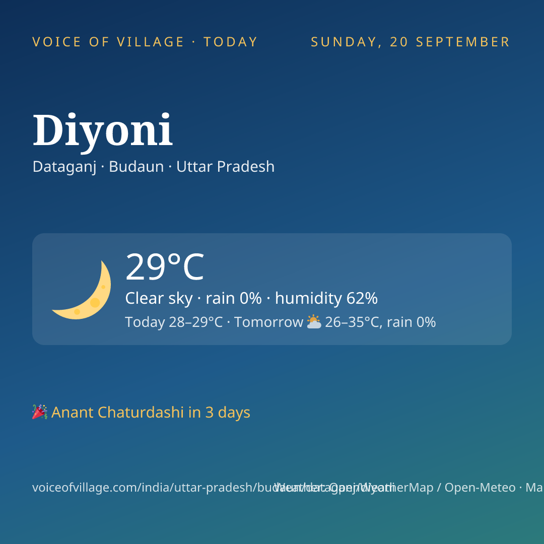 Diyoni today