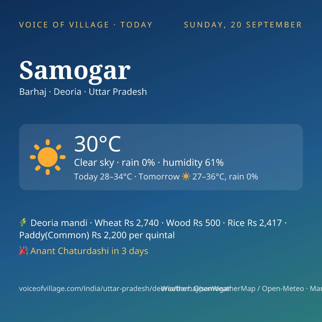 Samogar today