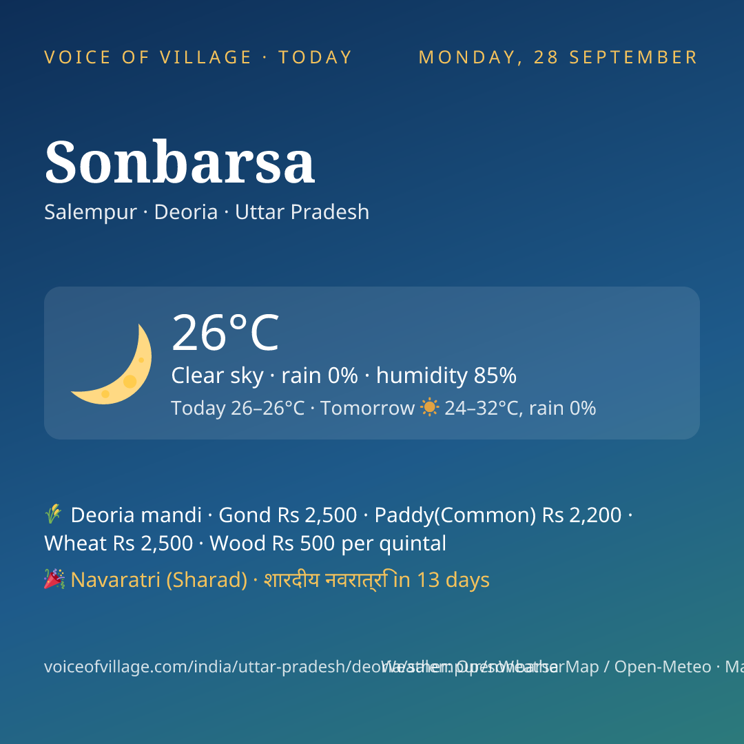 Sonbarsa today