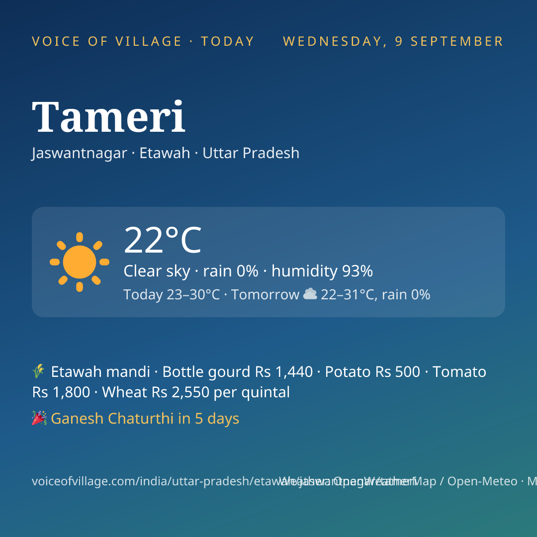 Tameri today