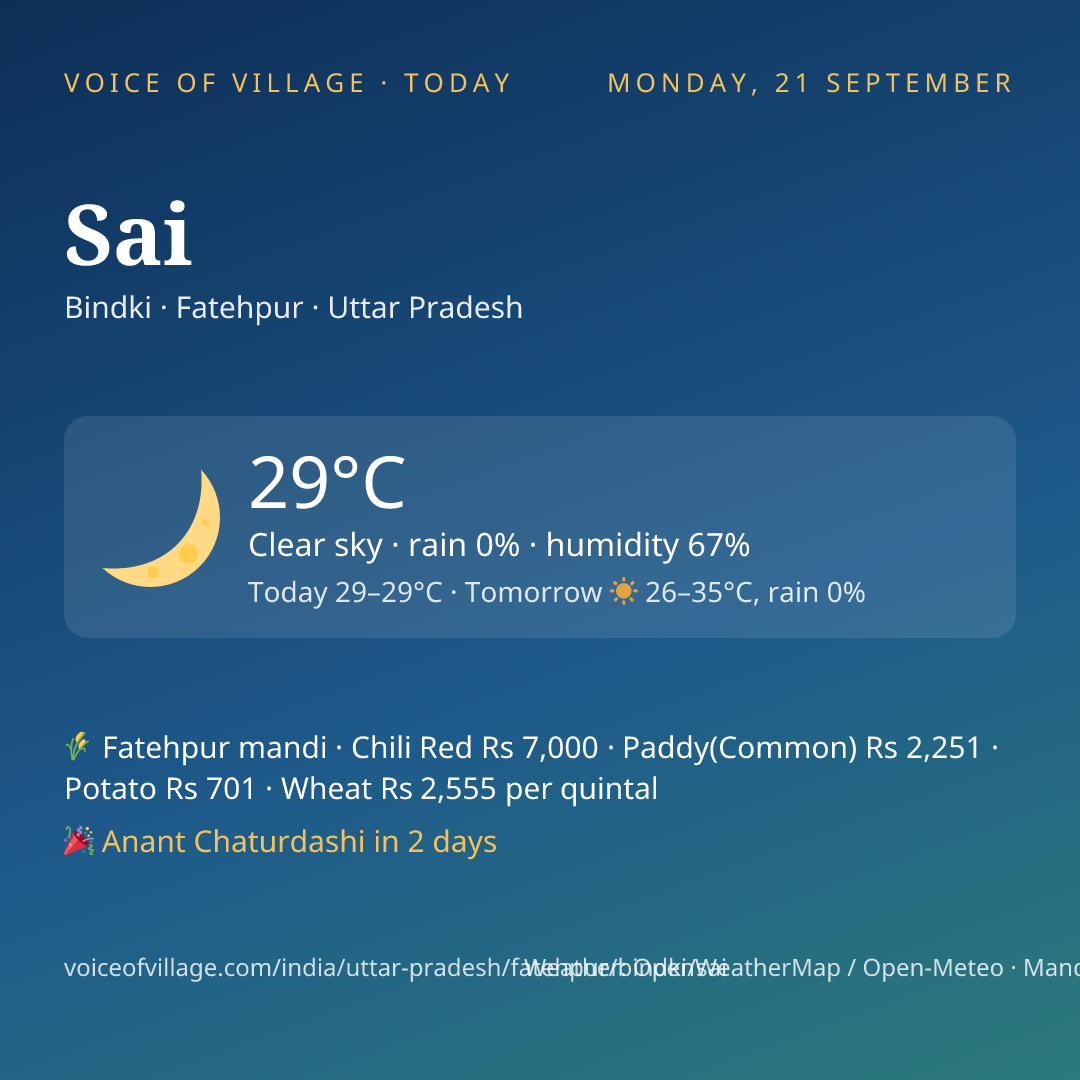 Sai today