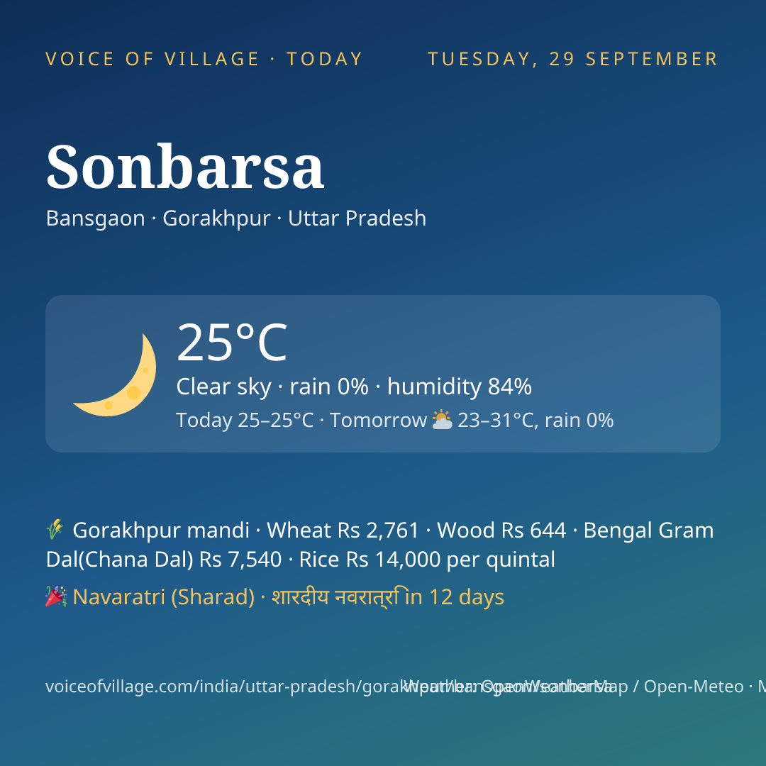 Sonbarsa today