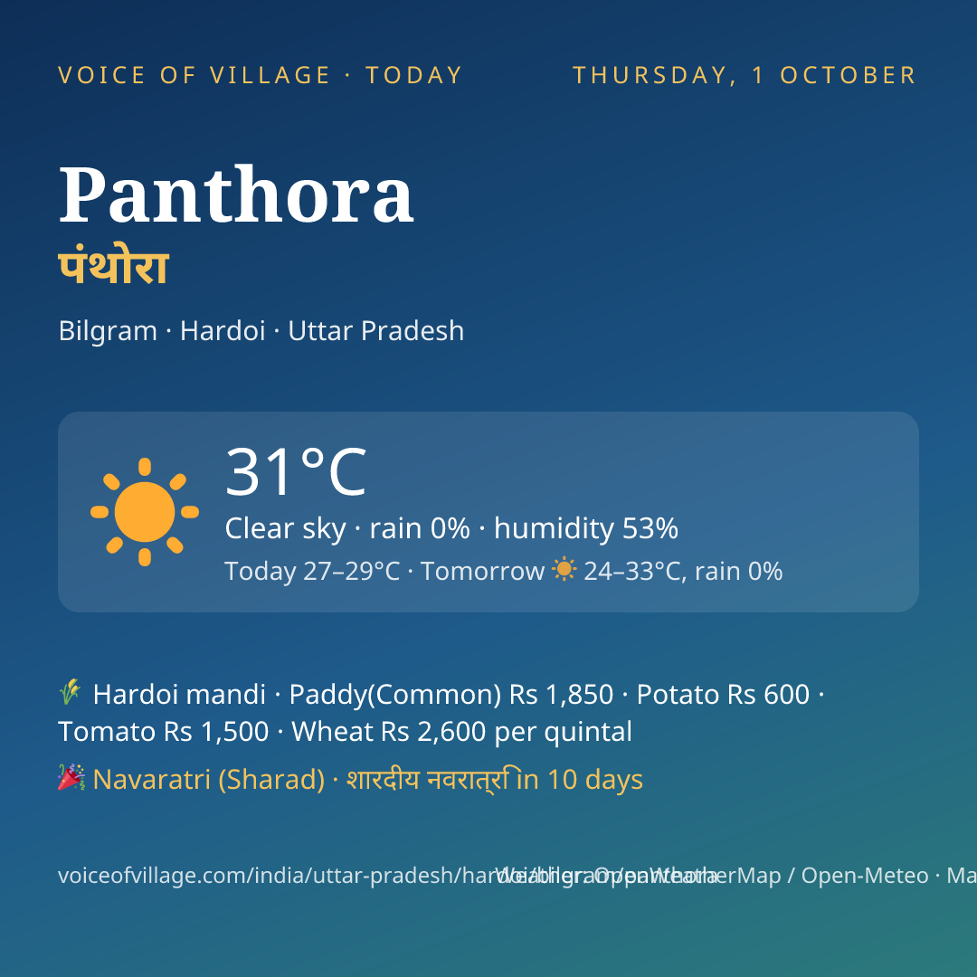Panthora today