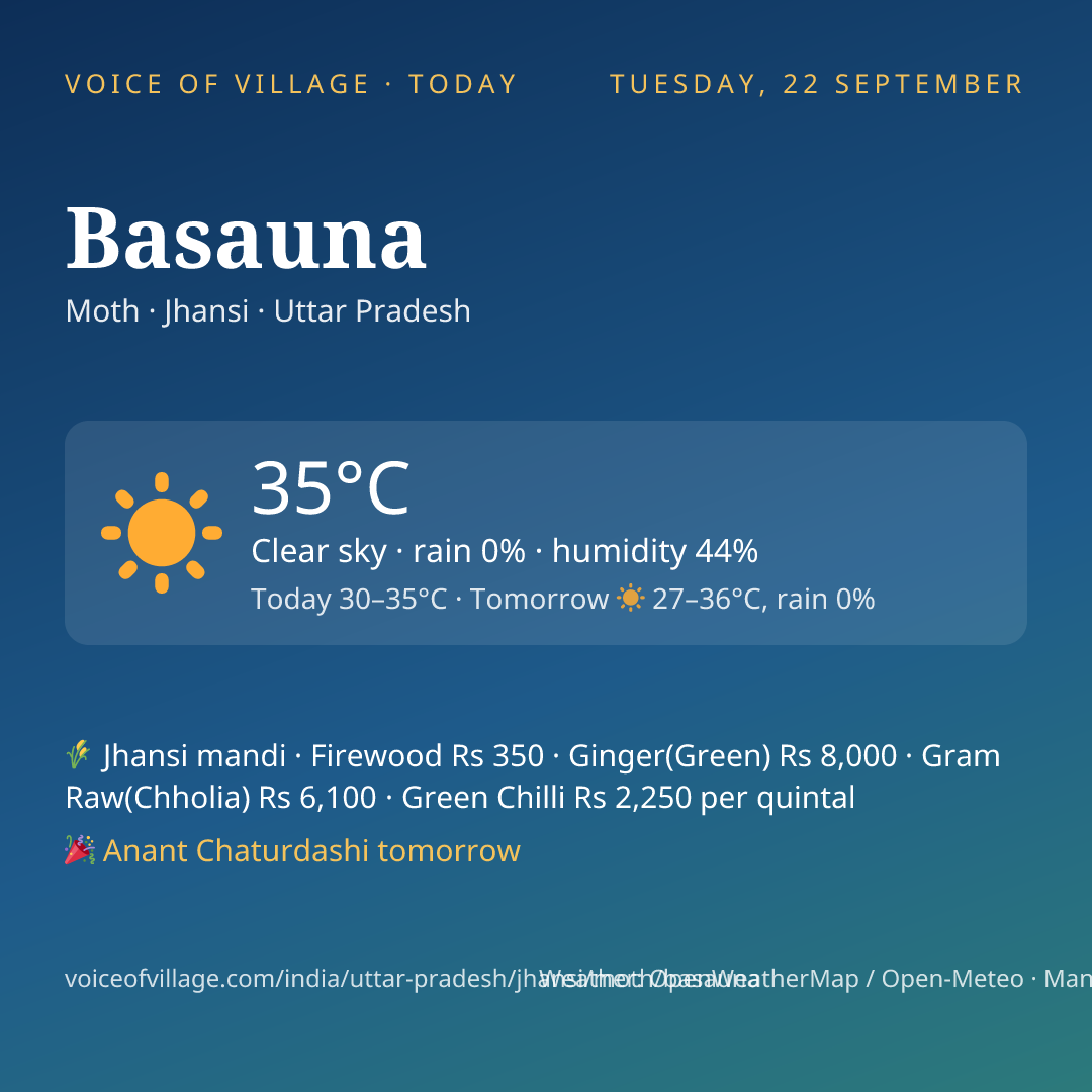Basauna today