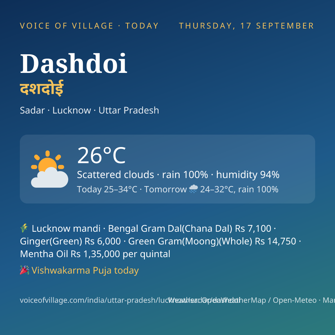 Dashdoi today