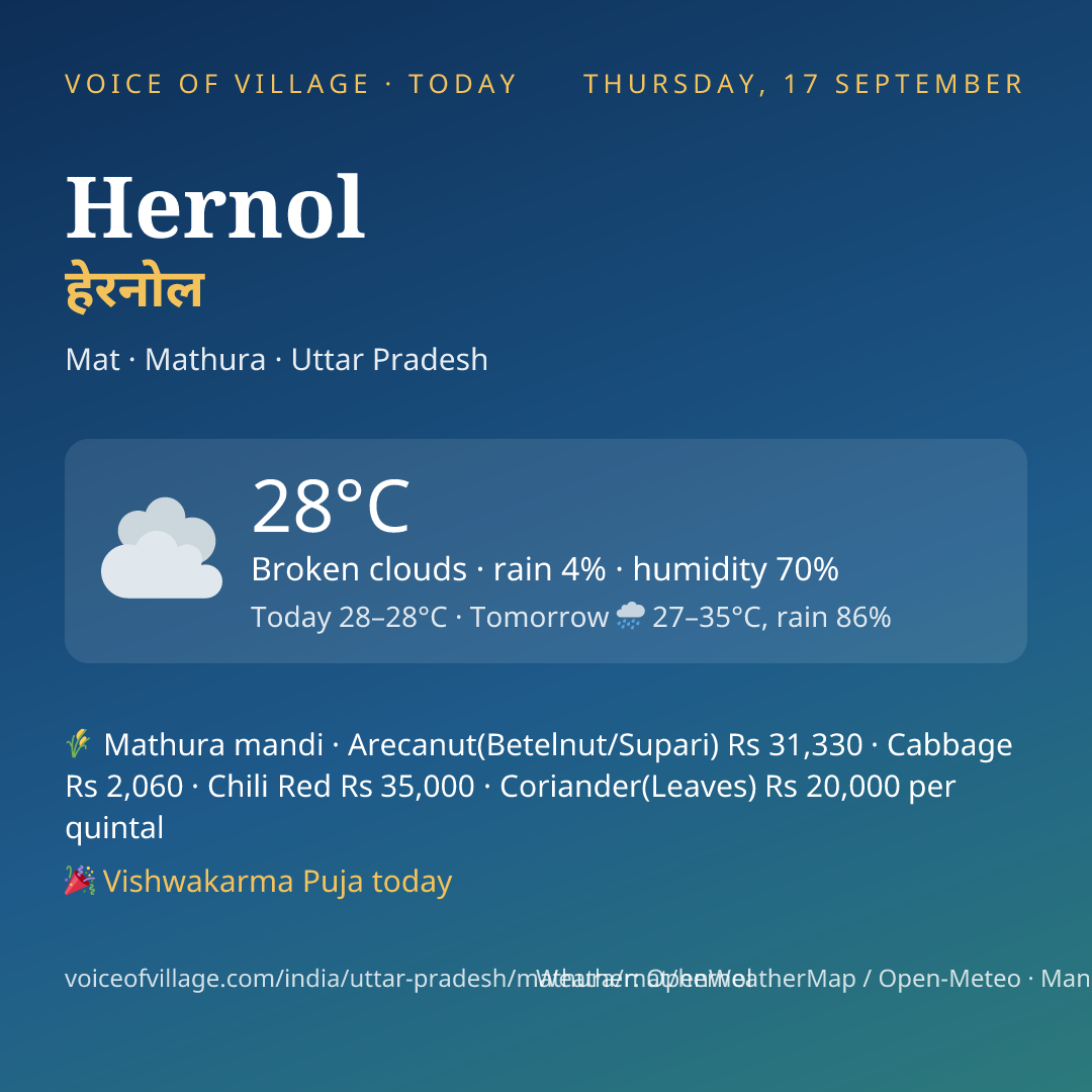 Hernol today