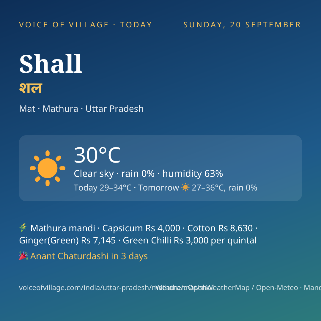 Shall today