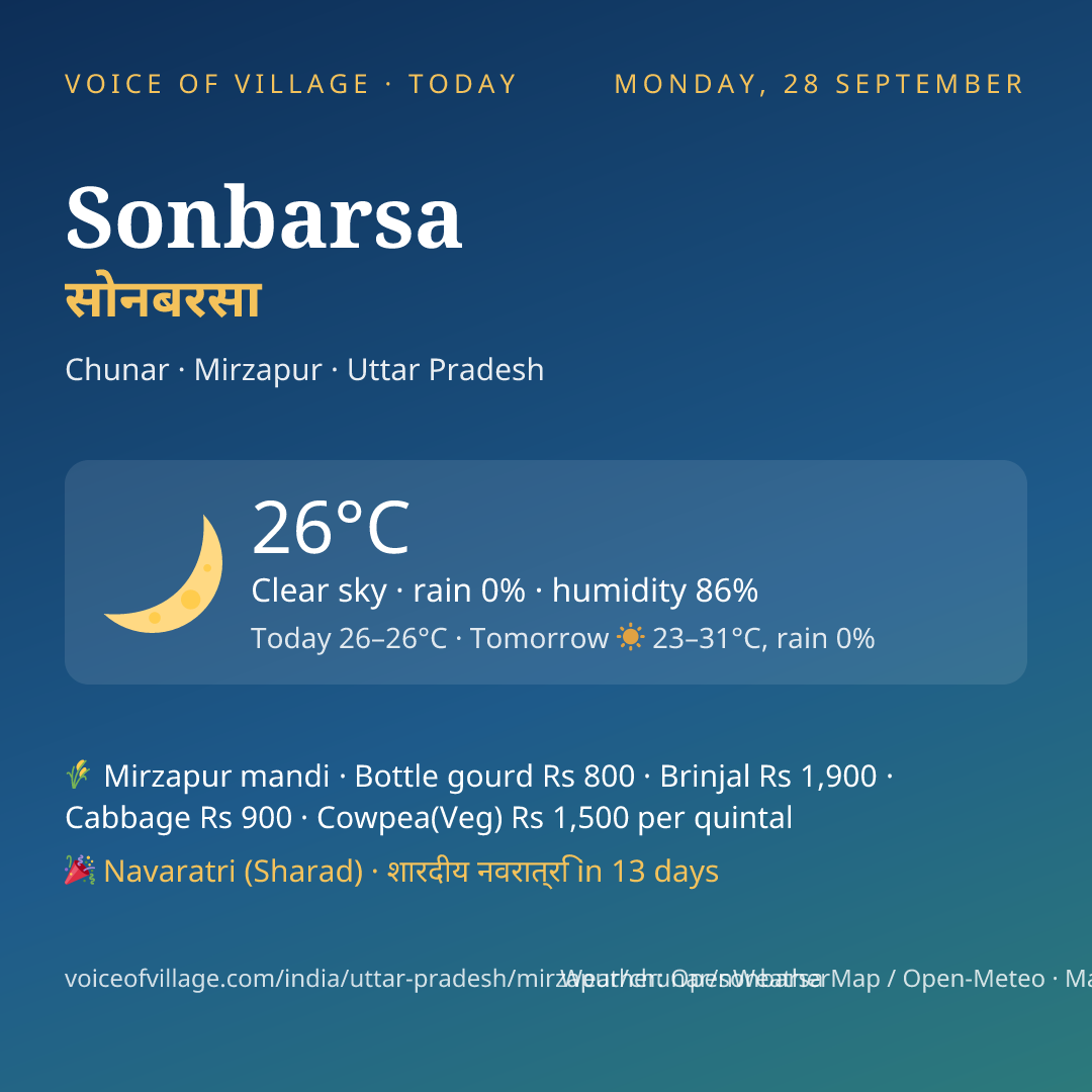 Sonbarsa today