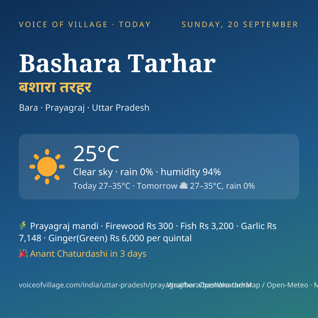 Bashara Tarhar today