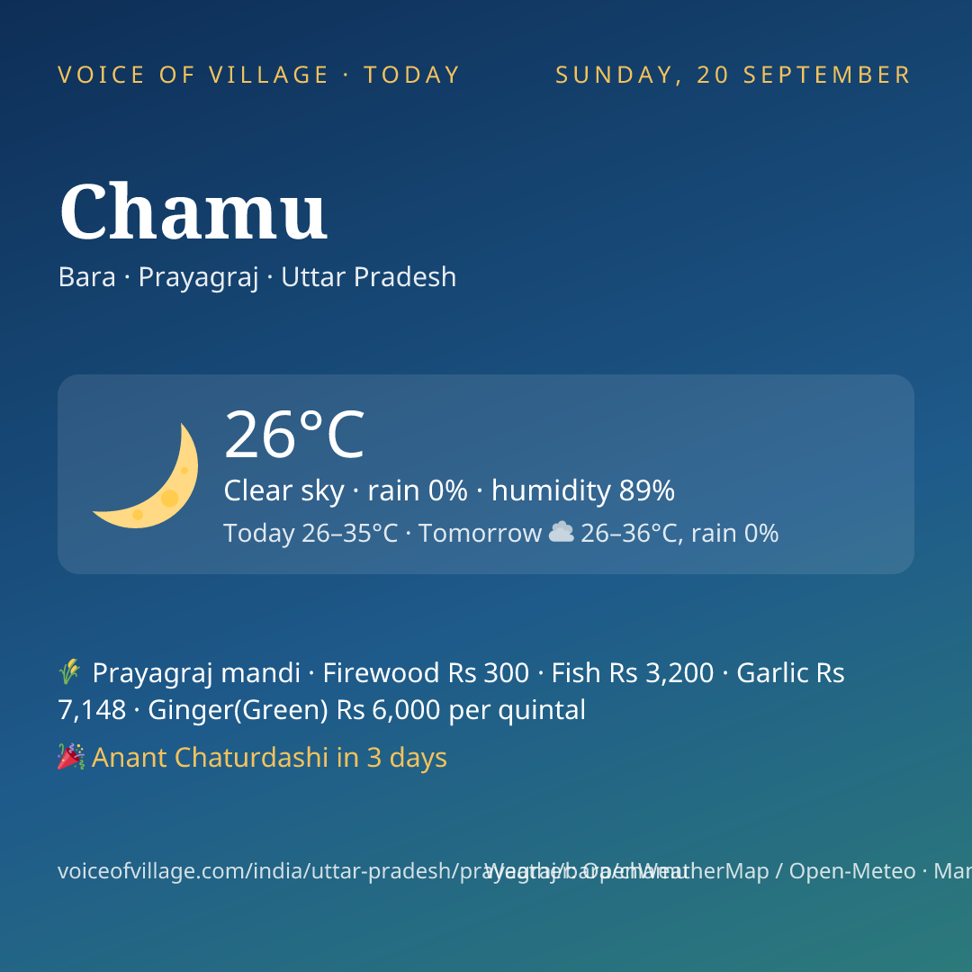 Chamu today