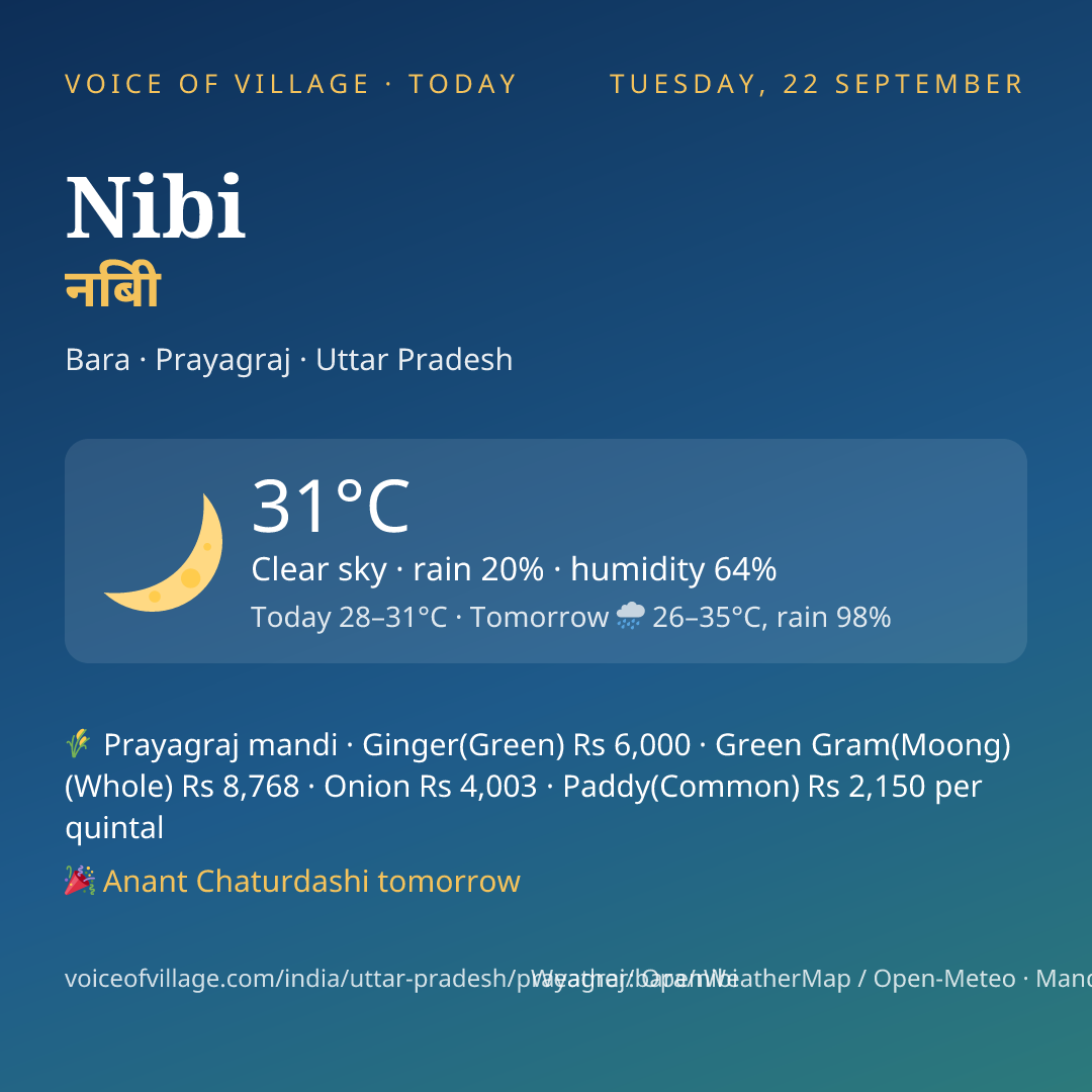 Nibi today