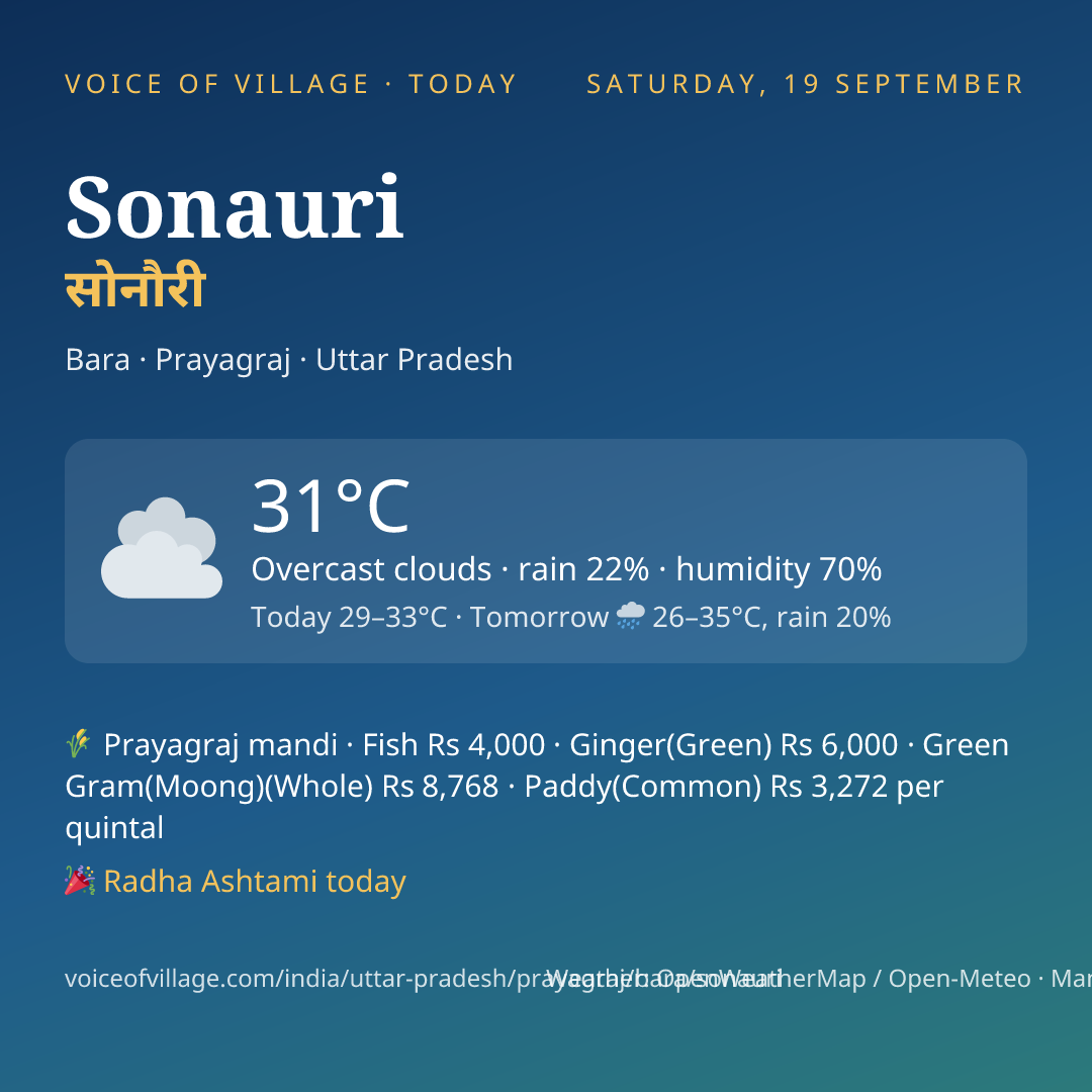 Sonauri today