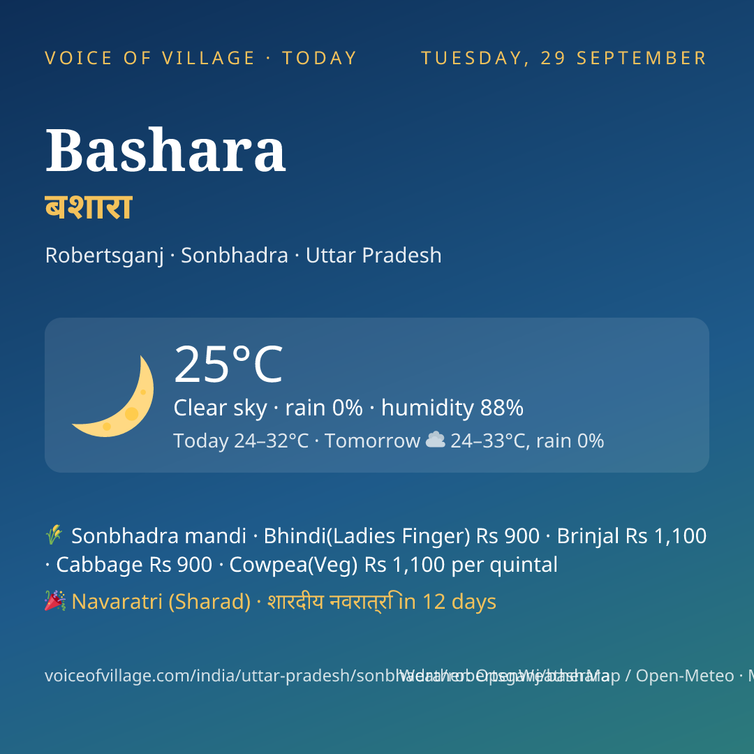 Bashara today