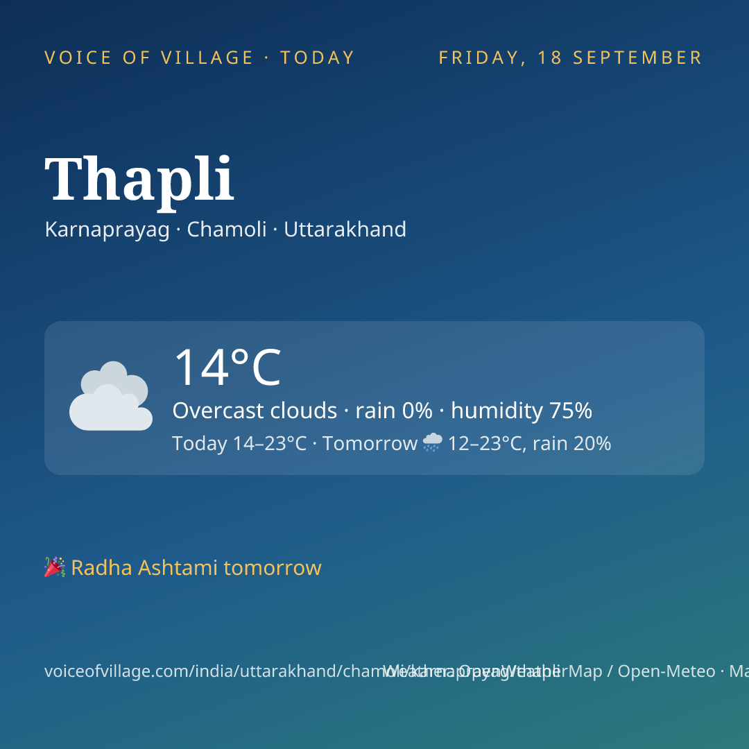 Thapli today