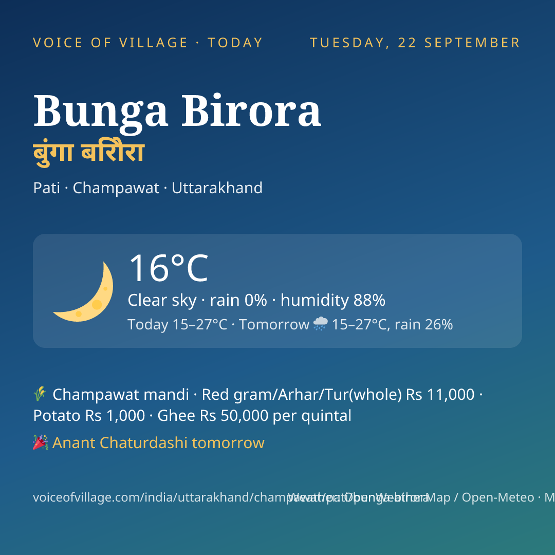 Bunga Birora today