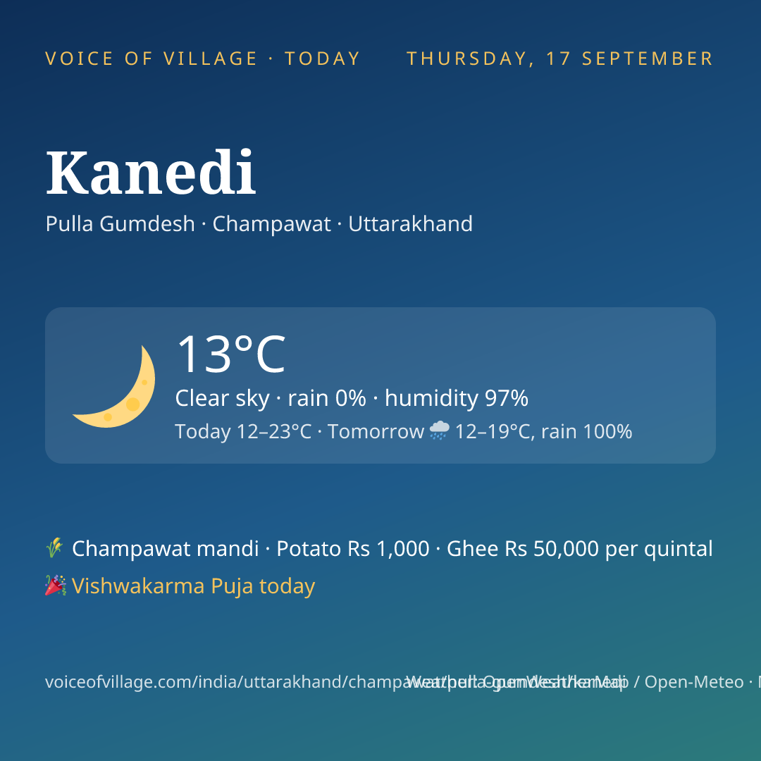 Kanedi today