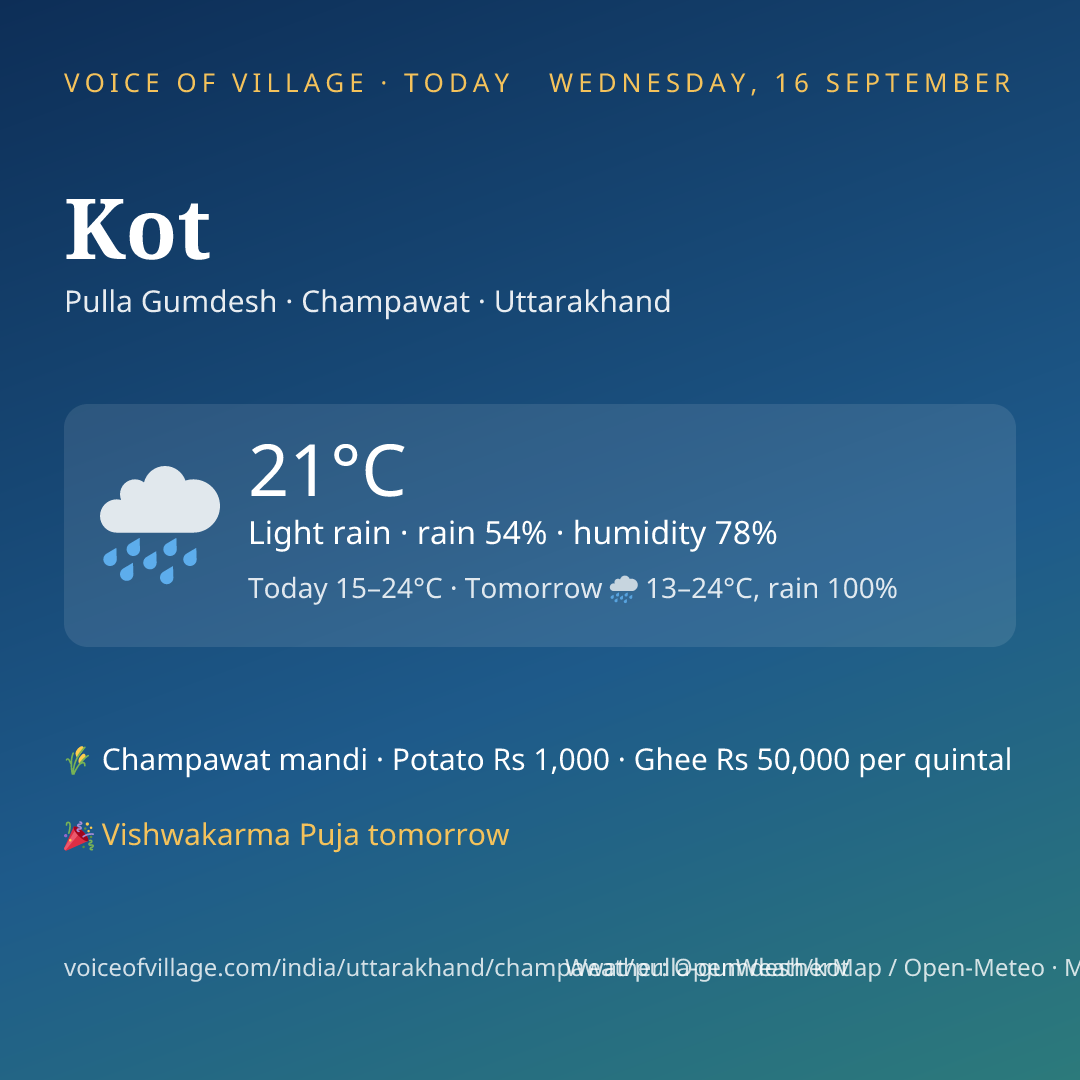 Kot today