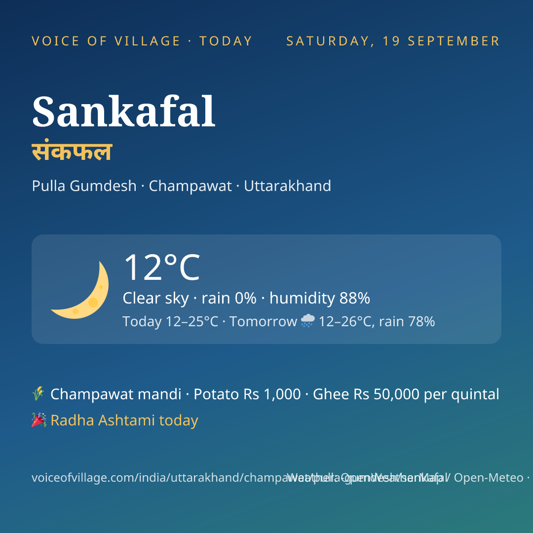 Sankafal today