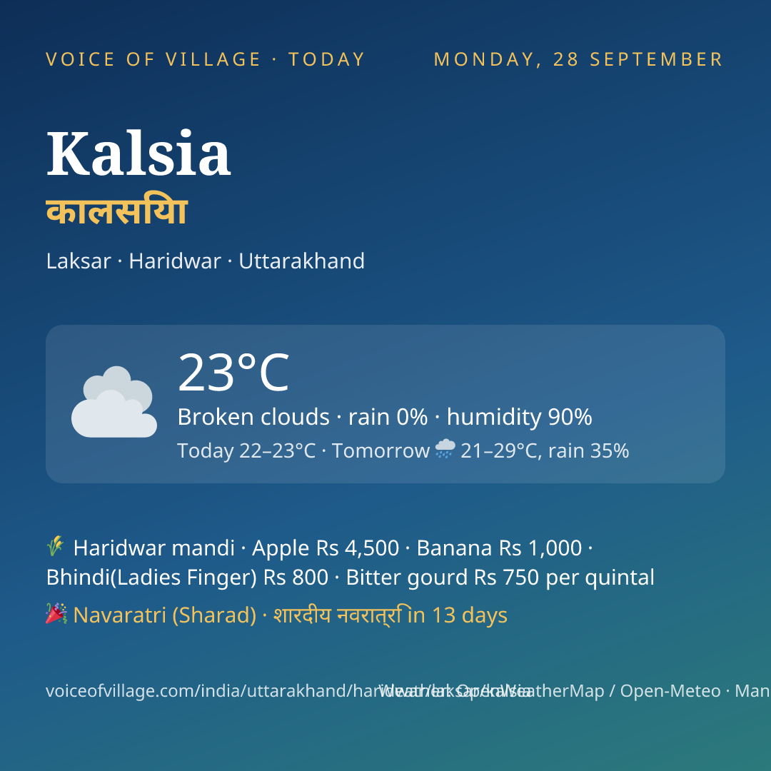 Kalsia today