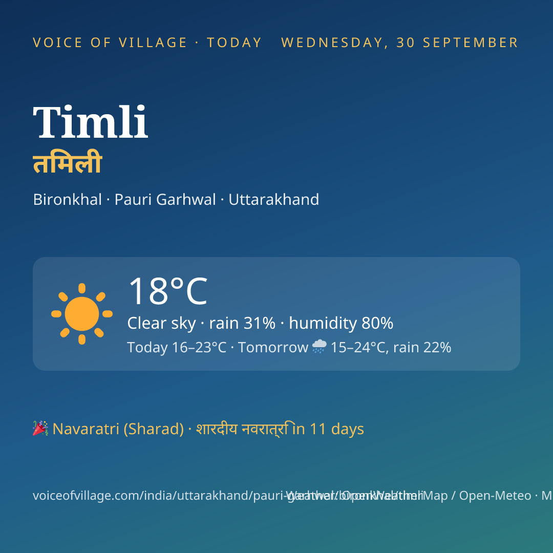 Timli today