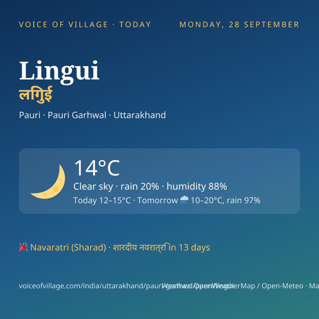 Lingui today