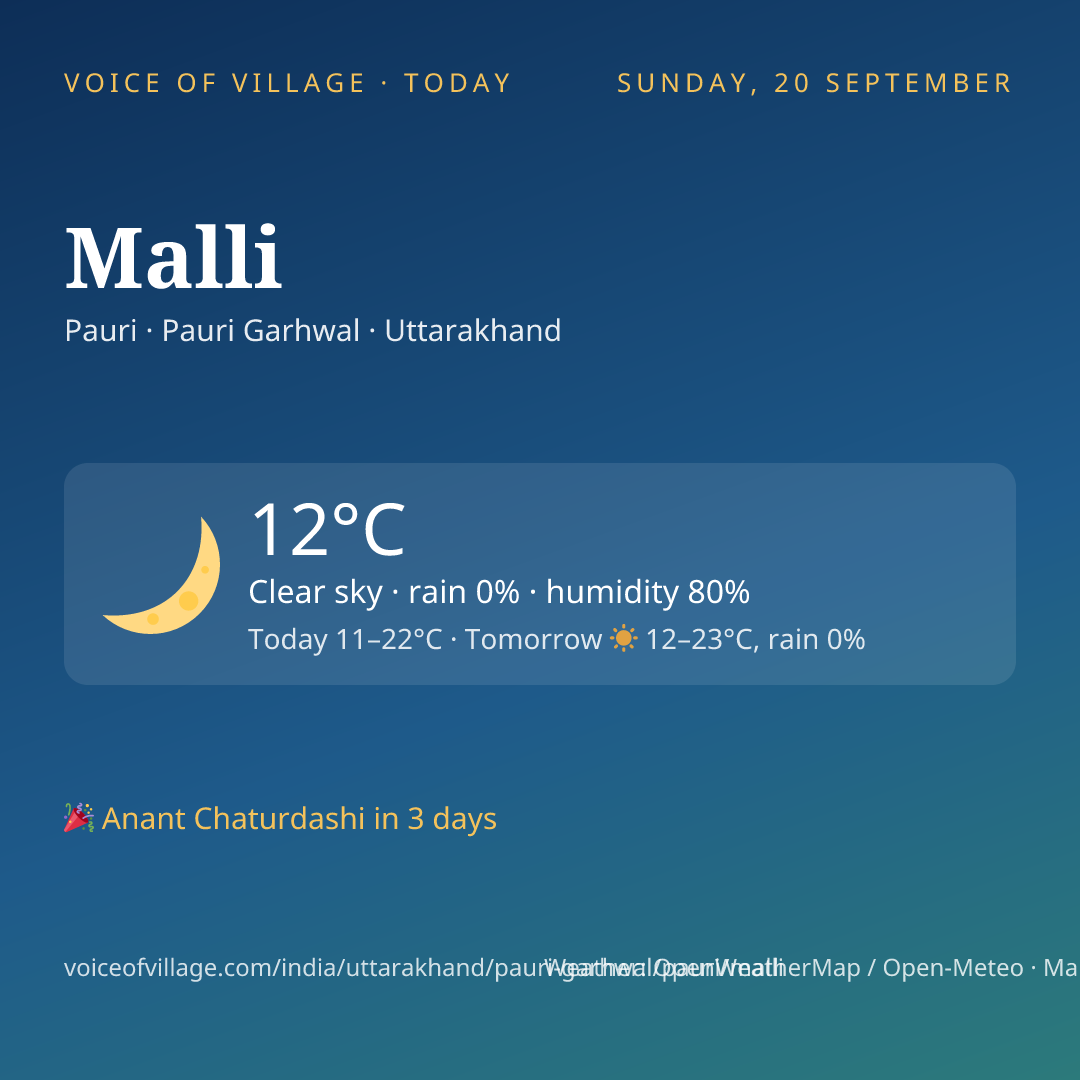 Malli today