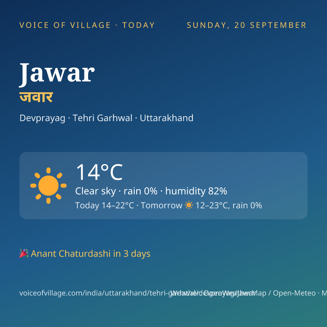 Jawar today