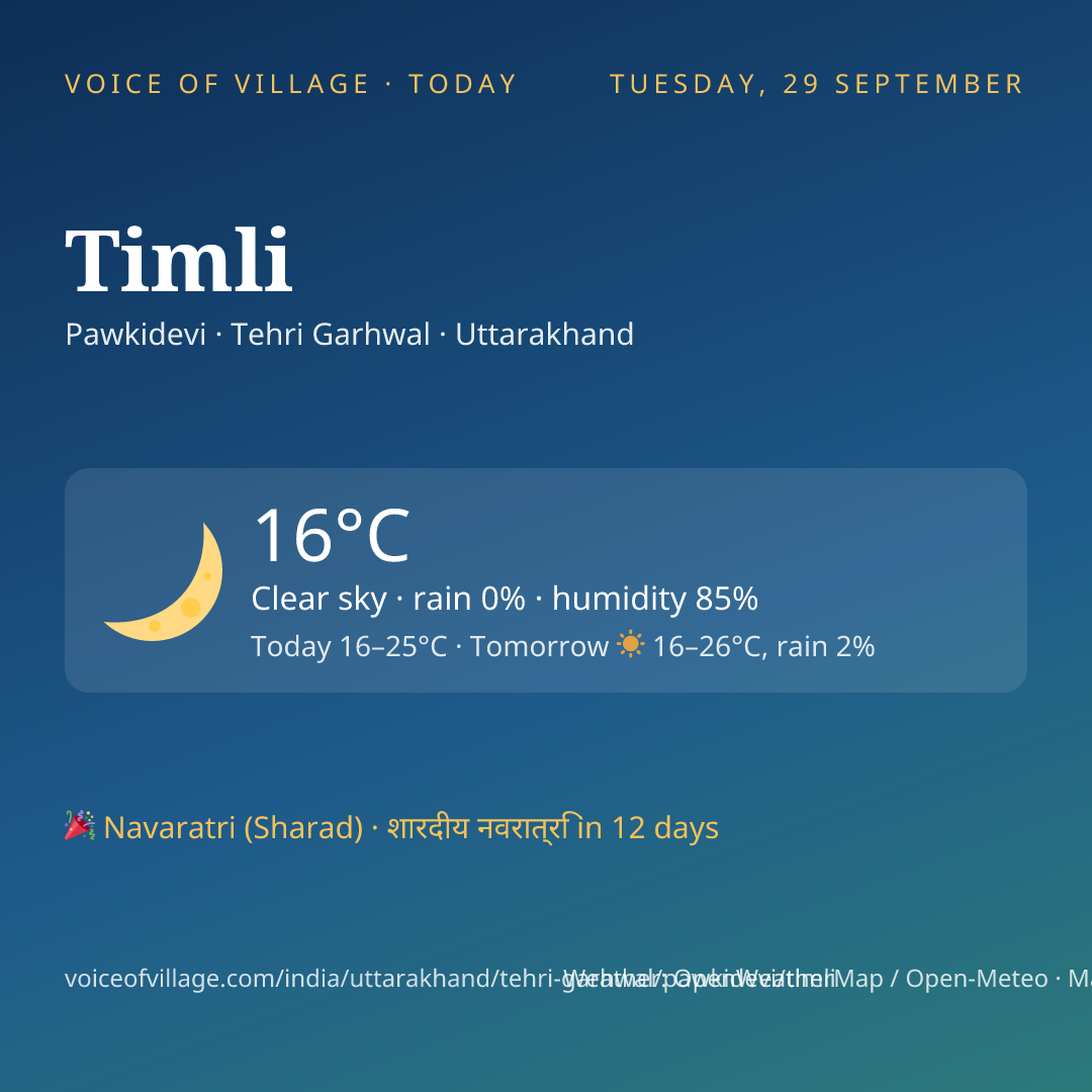 Timli today