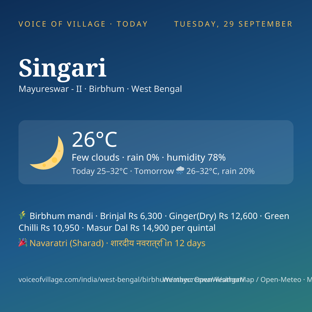Singari today