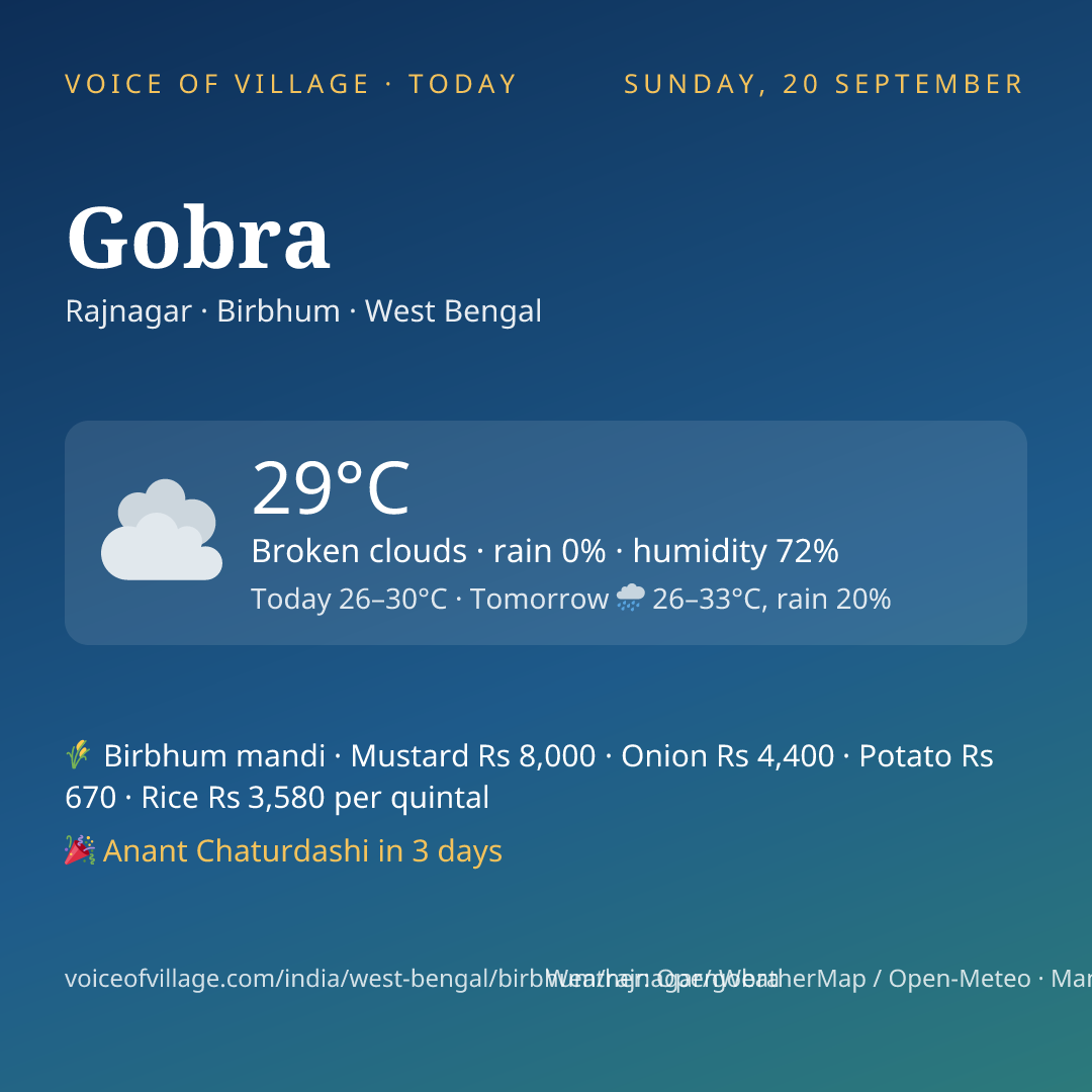 Gobra today